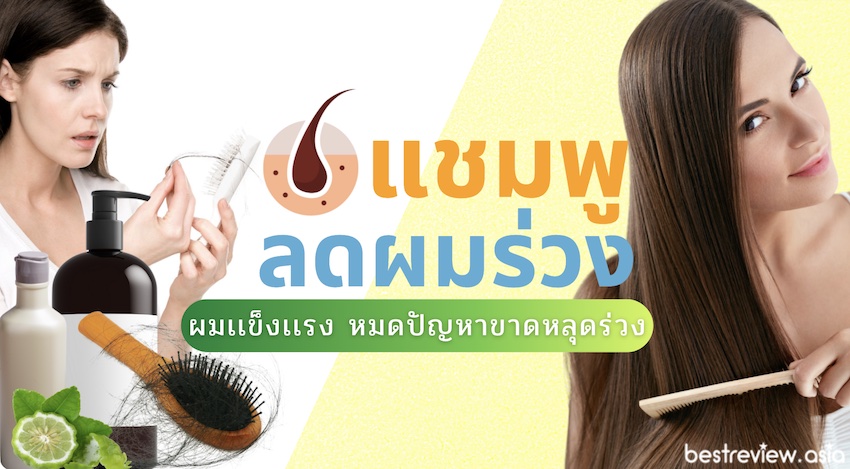 รีวิว แชมพูลดผมขาดหลุดร่วง ยี่ห้อไหนดีที่สุด ปี 2023 » Best Review Asia