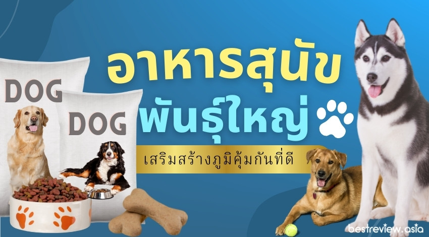 รีวิว อาหารสุนัขพันธุ์ใหญ่ ยี่ห้อไหนดีที่สุด ปี 2021 » Best Review Asia