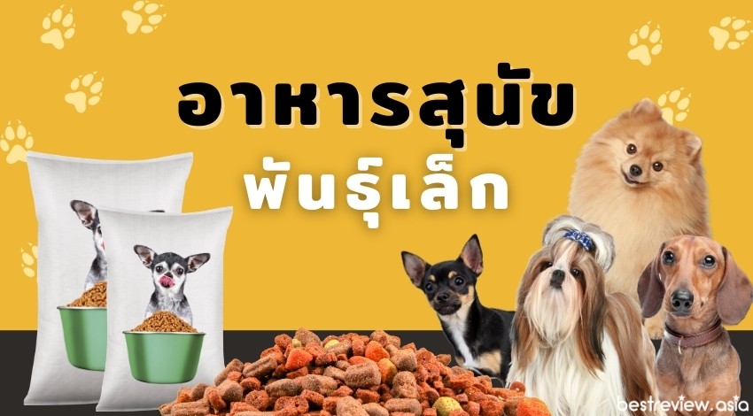 รีวิว อาหารสุนัขพันธุ์เล็ก ที่ดีที่สุด ยี่ห้อไหนดี ปี 2021 » Best Review  Asia