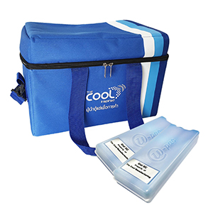The Cool กระเป๋าเก็บอุณหภูมิ รุ่น Cool Bag