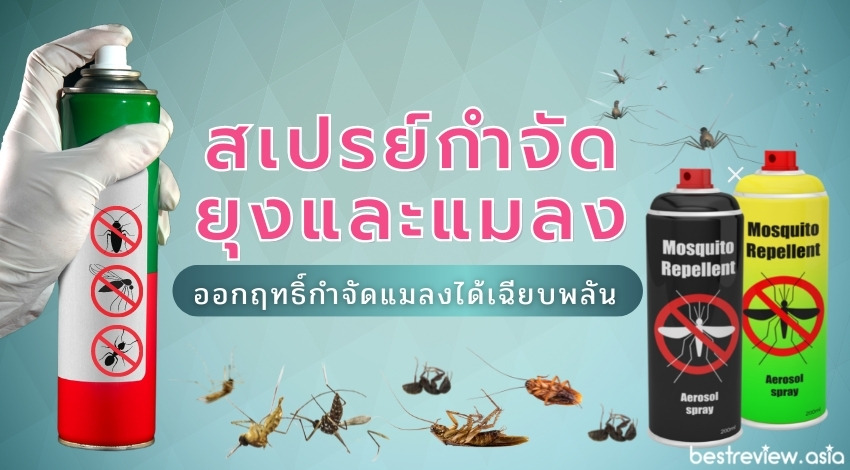 รีวิว สเปรย์กำจัดยุงและแมลง ยี่ห้อไหนดีที่สุดปี 2023 » Best Review Asia