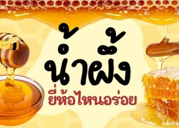 น้ำผึ้ง ที่ดีที่สุด ยี่ห้อไหนอร่อย