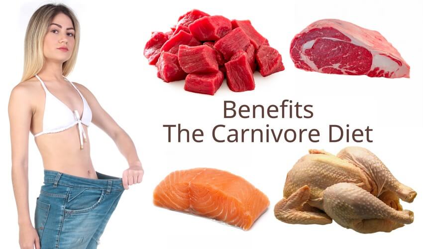 กินเนื้อสัตว์อย่างเดียว ลดน้ำหนักได้จริงไหม - Carnivore Diet » Best Review  Asia