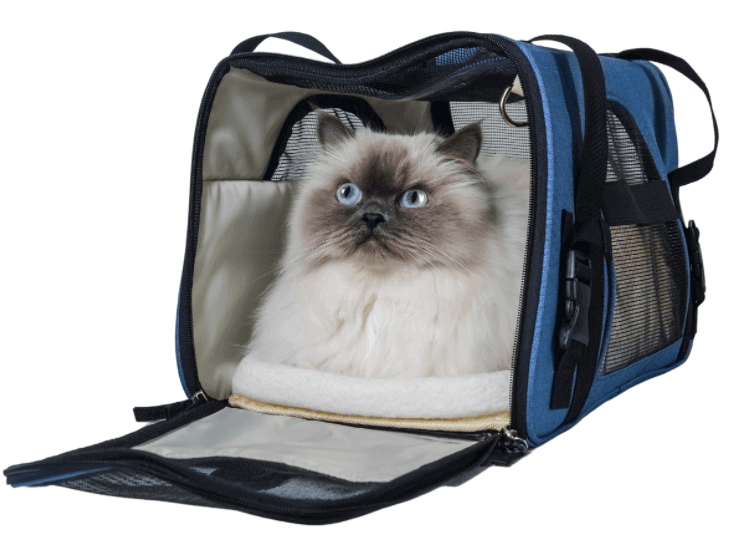 กระเป๋าใส่แมวสะดวกต่อการเคลื่อนย้าย