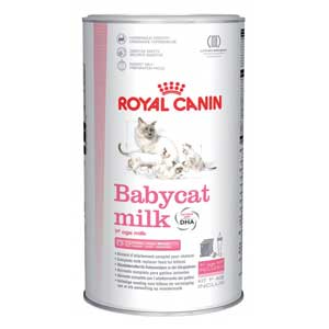 นมสำหรับแมว Royal Canin Babycat Milk