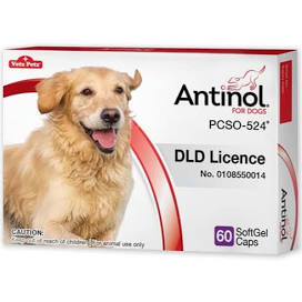 Antinol Joint & Bone Supplement Dogs อาหารเสริม บำรุงข้อ สุนัข