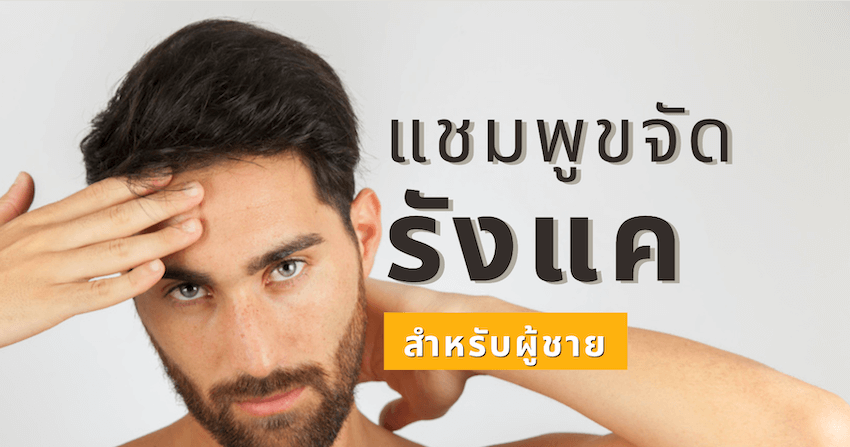 แนะนำ แชมพูขจัดรังแคสำหรับผู้ชาย ยี่ห้อไหนดีที่สุด ปี 2023 » Best Review  Asia