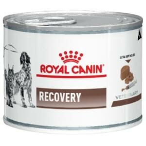 Royal Canin Recovery อาหารสูตรเข้มข้นสำหรับสัตว์ป่วย
