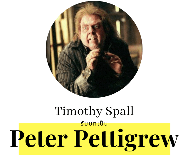Timothy Spall รับบท Peter Pettigrew