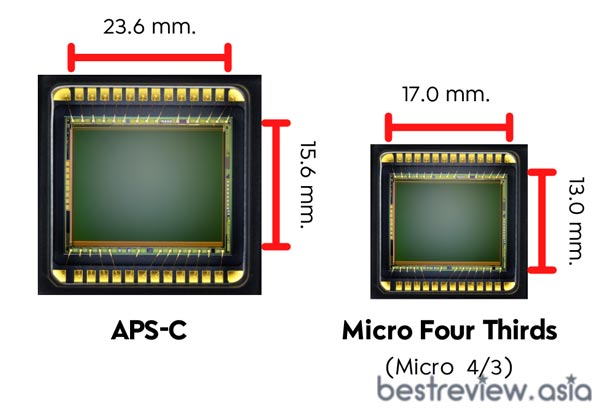 เซนเซอร์ APS-C และเซนเซอร์ Micro Four Thirds