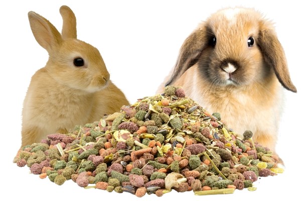 อาหารเม็ดสำหรับกระต่าย