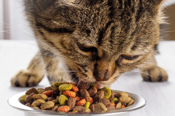 อาหารแมวแบบเม็ด
