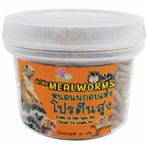 อาหารเม่นแคระหนอนนกอบแห้ง Dried Mealworm
