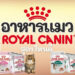 รีวิว อาหารแมว royal canin สูตรไหนดีที่เหมาะกับเจ้าเหมียวของเรา ปี 2021