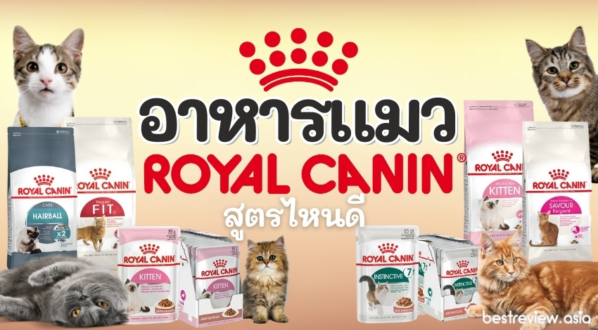 รีวิว อาหารแมว royal canin สูตรไหนดีที่เหมาะกับเจ้าเหมียวของเรา ปี 2021