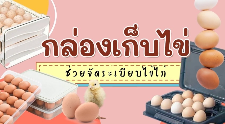รีวิว กล่องเก็บไข่ ช่วยจัดระเบียบไข่ไก่ ยี่ห้อไหนดีที่สุด