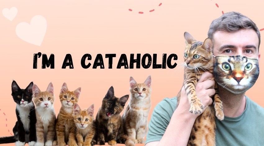 I’m a cataholicฉันเป็นโรคเสพติดแมว
