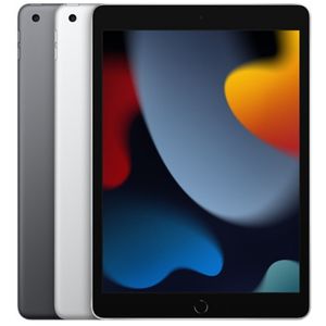 Apple iPad 10.2 (9th Gen 2021)
