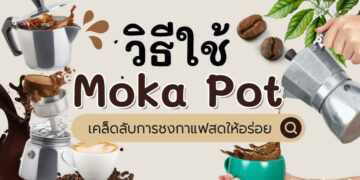 วิธีใช้ Moka Pot ครั้งแรก และเคล็ดลับการชงกาแฟสดให้อร่อย