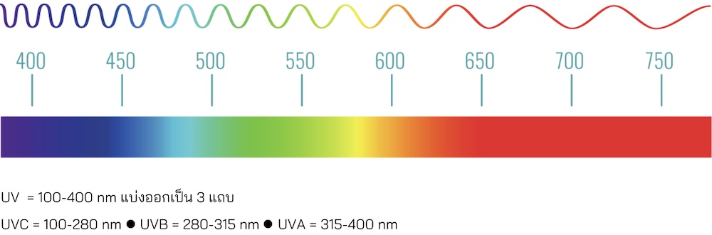 ความยาวคลื่นรังสี UV แต่ละชนิด