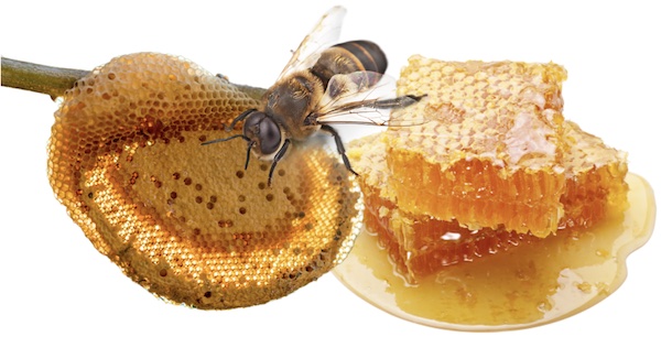รวงผึ้ง ทานได้ไหม?