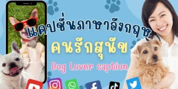 Dog Lover caption ภาษาอังกฤษ พร้อมคำแปลภาษาไทย