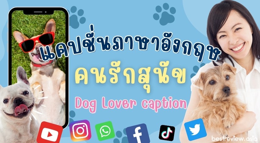 แคปชั่นคนรักสุนัข Dog Lover ภาษาอังกฤษ - Happiness Is A Warm Puppy. » Best  Review Asia