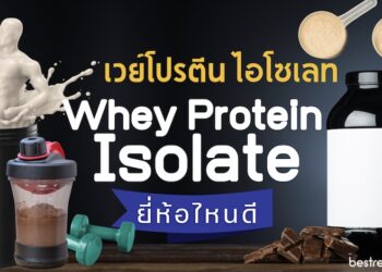 รีวิว เวย์โปรตีน ไอโซเลท (Whey Protein Isolate) ยี่ห้อไหนดีที่สุด