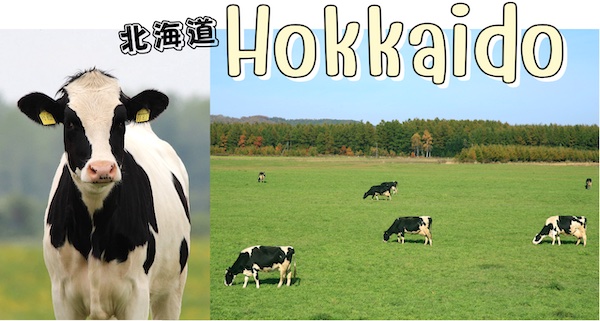 ฮอกไกโด (Hokkaido) ประเทศญี่ปุ่น ขึ้นชื่อผลิตภัณฑ์จากนม โดยเฉพาะนมวัว
