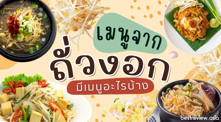 10 เมนูถั่วงอก ทำง่าย กรอบอร่อย มีเมนูอะไรบ้าง ? » Best Review Asia