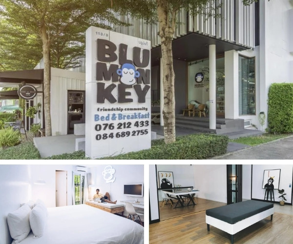 บลู มังกี้ เบด แอนด์ เบรคฟาสต์ ภูเก็ต (Blu Monkey Bed and Breakfast Phuket)