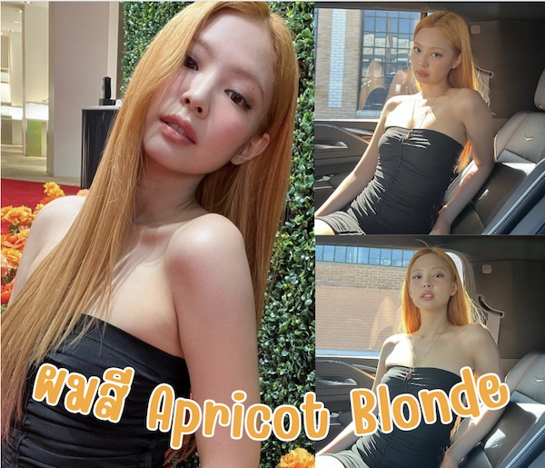 สีผมไอดอลเกาหลี Apricot blonde