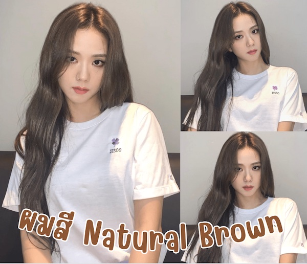 สีผมไอดอลเกาหลี Natural Brown
