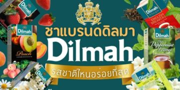รีวิว ชาแบรนด์ Dilmah (ดิลมา) รสชาติไหนอร่อยที่สุด