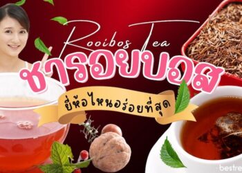 รีวิว ชารอยบอส (Rooibos Tea) ยี่ห้อไหนอร่อย กลิ่นหอม รสชาติดี