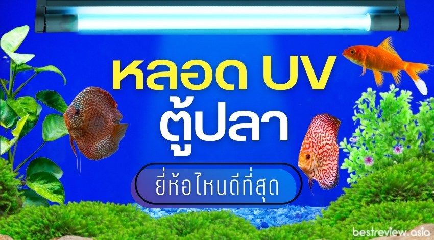 รีวิว หลอด UV ตู้ปลา ยี่ห้อไหนดีที่สุด