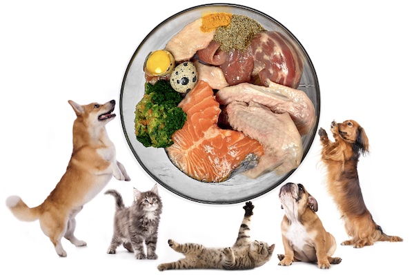 ส่วนประกอบของอาหารที่แมว