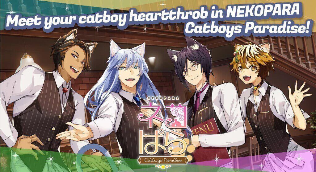NEKOPARA – Catboys Paradise เกมจีบหนุ่ม จีบสาว