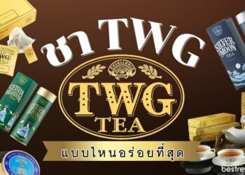 ชา TWG (TWG Tea) รสชาติไหนดี หอม เข้มข้น ดื่มง่าย เหมาะสำหรับคอชา