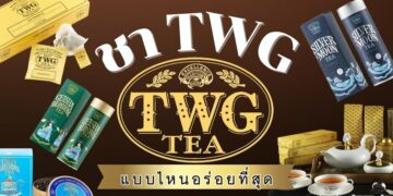 ชา TWG (TWG Tea) รสชาติไหนดี หอม เข้มข้น ดื่มง่าย เหมาะสำหรับคอชา