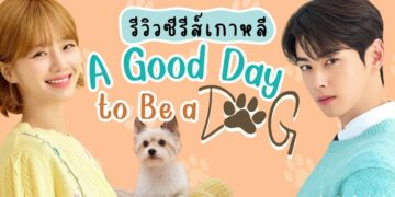 [รีวิว] ซีรีส์เกาหลี A Good Day to Be a Dog